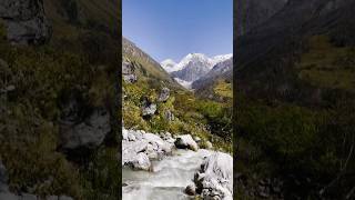 Valley Of Flowers 🌼🍁🤍#valleyofflowers#uttarakhand #gangaria#himalayas#glacier #nature#heaven