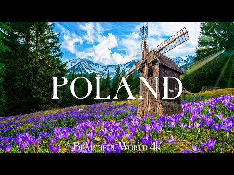 Poland 4K - Witness Vibrant Tulip Fields, Green Hills & Flowing Rivers - Gentle Music, Healing Music