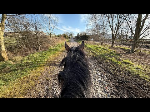 30 Minutes Of Horse Riding ASMR