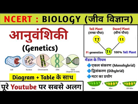 आनुवंशिकी (Genetics) | मेंडल के नियम | mendal ke niyam | Biology