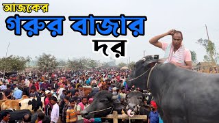 ঐতিহ্যবাহী নওগা গরুর হাট,আজকের গরুর বাজার ও বাজার দর ।Raaz Agro