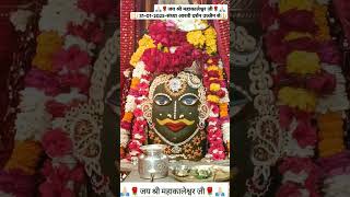 महाकाल संध्या आरती उज्जैन 🌹🔱| #ujjain #sandhyaaarti  #livedarshan #viral #shortsfeed