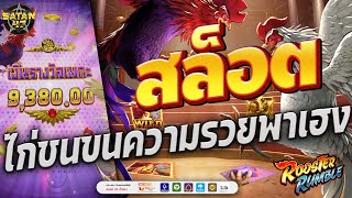 เว็บตรงไม่ผ่านเอเย่นต์ | สล็อต | เว็บตรงไม่ผ่านเอเย่นต์2024 | Rooster Rumble ไก่ชนขนความรวย 🐔🪶💵