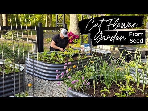 A Cut Flower Garden From Seed! Planted Up My New Vego Raised Beds. Trimming A Tree with a Hand Saw