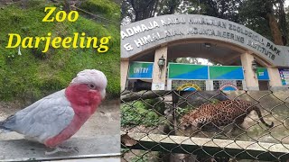 Darjeeling zoo bengali vlog || Darjeeling zoological park || Darjeeling Zoo 2022