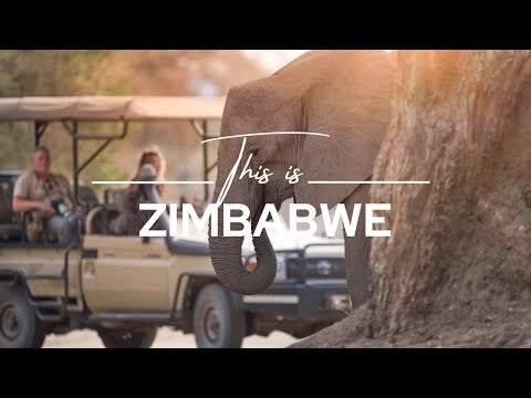 This is Zimbabwe | Safari365