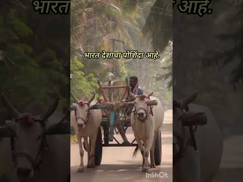 |शेतकरी|असं झालं तर..?|#farmer #brand #farmingsimulator