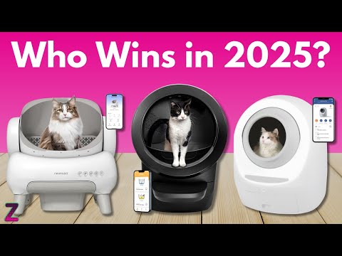 ✅😍Top 5 Best Automatic Litter Boxes [ 2025 Buyer's Guide ]