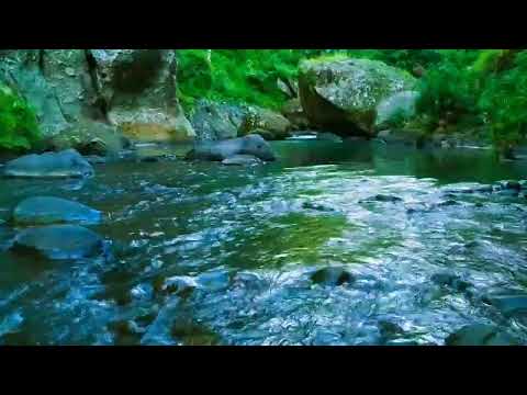 very nice and relaxing with 石の間を流れる穏やかな小川、鳥のさえずり、心地よい自然の音