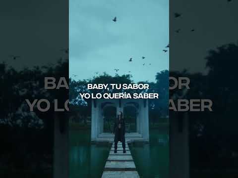 Tiago PZK - Señorita (Lyric Video) | CantoYo