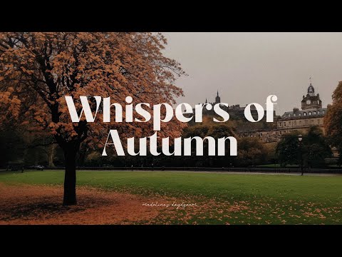 whispers of autumn 🌬️🍂 a cozy playlist for slow autumn days to romanticize your quiet life