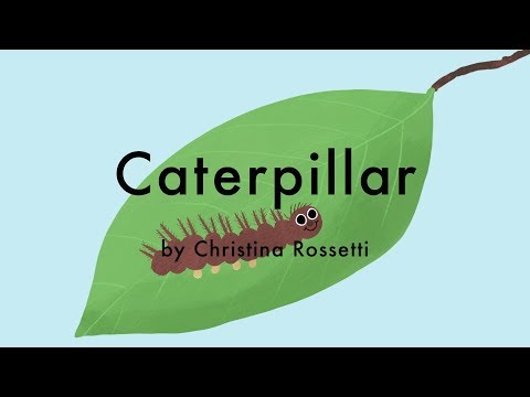 Caterpillar by Christina Rossetti - Animated Children's Poem & Butterfly Life Cycle