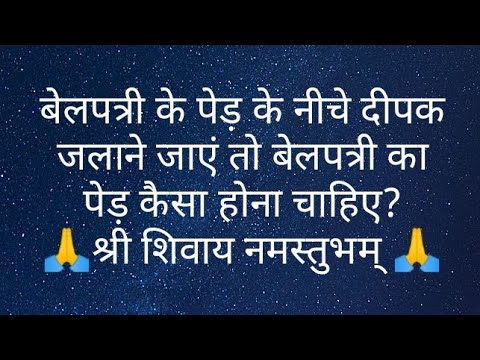 बेलपत्री के पेड़ के नीचे दीपक जलाने जाएं तो बेलपत्री का पेड़ कैसा होना चाहिए?pandit PardeepjiMishra