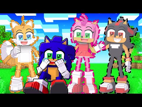 Sonic's Friends are GONE In Minecraft!