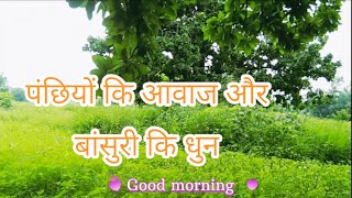 आज खेत पर मैने क्या देखा ?#morning #मॉर्निंगमेडिटेशन #shortvideo #hindisongs #funny #goodmorning