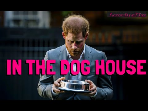 IN THE DOG HOUSE - Worse Than The Dog Bowl!