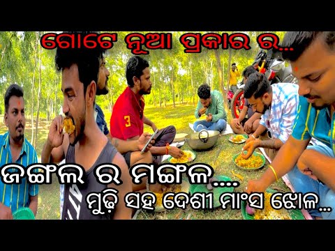 ଜଙ୍ଗଲ ର ମଙ୍ଗଳ | ମୁଢ଼ି ସହ ଦେଶୀ ମାଂସ ଝୋଳ | New Recipe of Desi Chicken | Fun on Jungle |