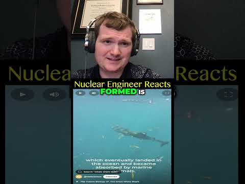 Nuclear Bombs Tell Us How Old Whale Sharks Are - Nuclear Engineer Reacts to Real Science