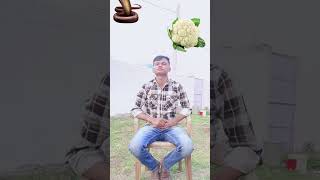 shik shak shok | vfx magic videos | kinemaster videos editing #shorts #vfxai #vfx