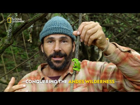 Surviving the Andes | Primal Survivor | हिंदी | Full Episode | S1 - E3 | Nat Geo