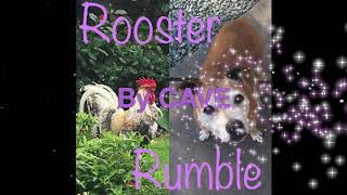 Rooster Rumble by CAVE