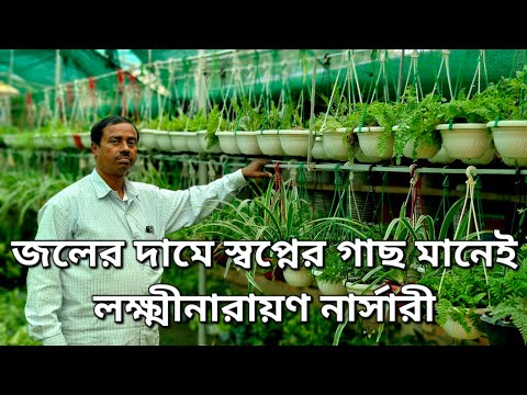 লক্ষ্মীনারায়ণ নার্সারী||গাছ কেনার সেরা ঠিকানা: Plants firm