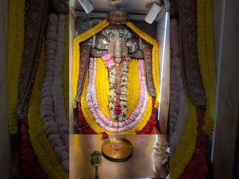 maa laxmi ka sundar rup#kripa #laxmi