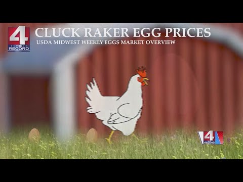 4TR Those clucking egg prices as of 3/14/25