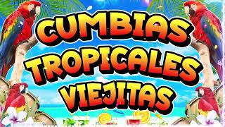 CUMBIAS TROPICALES MIX PARA BAILAR🍹💖CUMBIAS VIEJITAS TROPICAL🌴💃ACAPULCO TROPICAL, TROPICAL FLORIDA