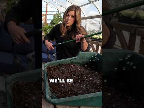 Winter Sowing Vs. Traditional Seed Starting + Potting Herbs! 🌿🌱🪴