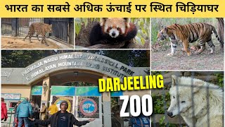 Darjeeling zoo | दार्जिलिंग का चिड़ियाघर | Padmaja naidu himalayan zoological park