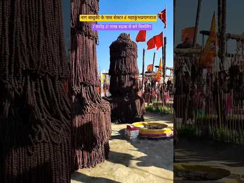 7 crore 51 lakh rudraksh se bane shivling kaha hai mahakumbh paryagraj #ytshorts #Rudrakshshivling