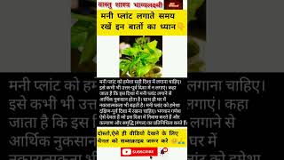 Vastu tips 👉मनी प्लांट घर में कहाँ लगाना चाहिए?🤯🤯#shorts #ytshorts #vastutips #viral