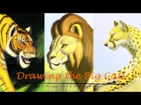 Drawing the Big Cats - (2024) Drawing Animals - Speed Paint