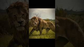 LION'S ATTACK 🦁 | KRAVEN the hunter #shorts #attitude #marvel #newmovie #movieshorts # trending