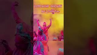 ||VRINDAVAN-BARSANA HOLICelebrations||#holi#holispecial#vrindavanholi2025#jogijiwaah#holicelebration