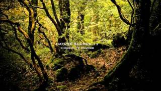 Nature Sound 17 - THE MOST RELAXING SOUNDS -