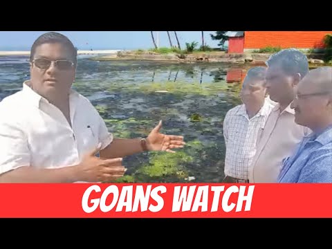 Venzy Veigas Visits Colva Creek with WRD Officials – What’s the Plan?