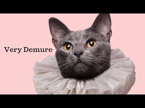 Very Demure