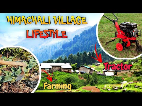 Village Lifestyle Of Himachal Pradesh🤩