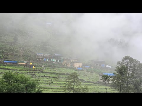 This is Himalayan Life | Relaxation Nepali Village Life in Winter | Nepal🇳🇵|Ep- 355 | Jiree Village