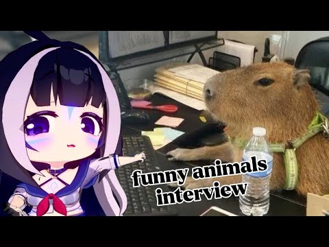 ShyLily reacts | interviewing cute animals