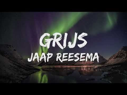 Jaap Reesema - Grijs (Songtekst/Lyrics) 🎵