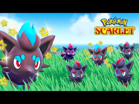 Shiny Zorua in Pokemon Scarlet & Violet