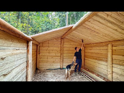 Autumn has come to the dugout- WE are BUILDING A COZY dugout in A SECRET forest! Making a roof