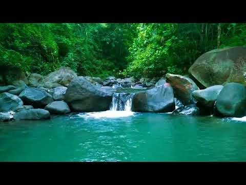 very nice and relaxing with 石の間を流れる穏やかな小川、鳥のさえずり、心地よい自然の音