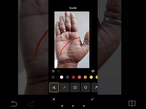 इतनी लम्बी मस्तिष्क रेखा/Mind line #palmistry #shortsvideo #shorts