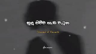 සුදු පිච්ච හැඩ වැටුන | Sudu Pichcha Hada Watuna | Slowed and Reverb | #ASIMUSIC