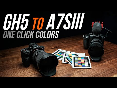 Sony A7Siii: ONE CLICK Color Grading for free in Davinci Resolve 17