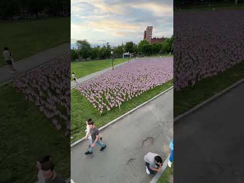 Boston Common Memorial Day USA flag garden 2024 fake drone shot